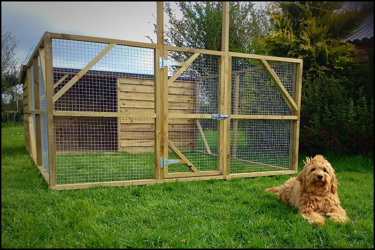Dog Box With Enclosure - Image 1