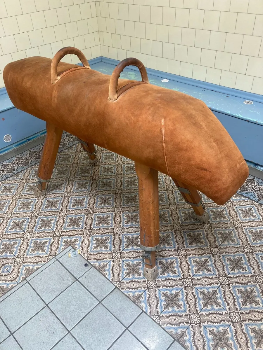 Vintage Pommel Horse / Vaulting Horse - Image 1