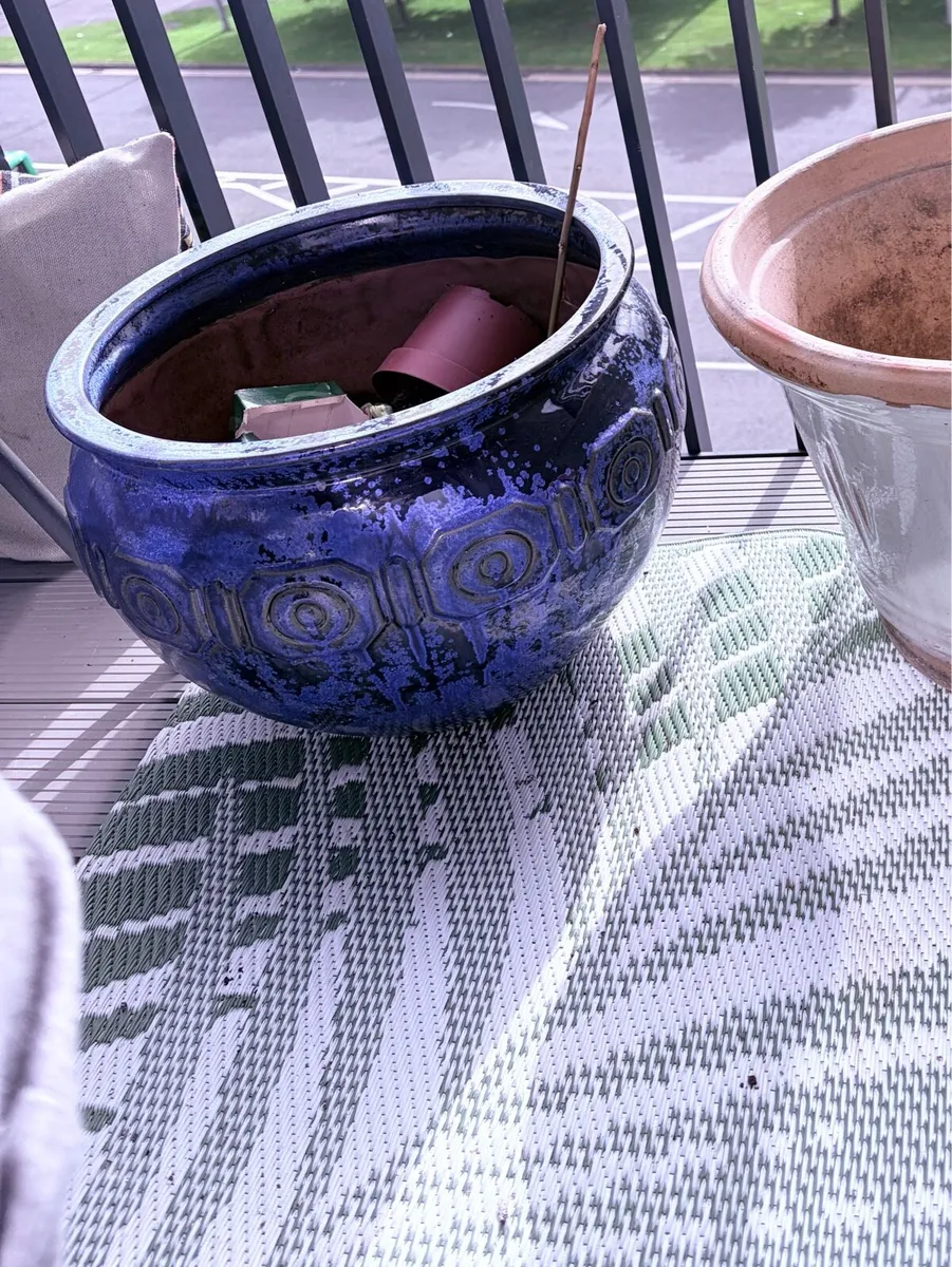 Ceramic strong ideal for lots of growt - Image 2