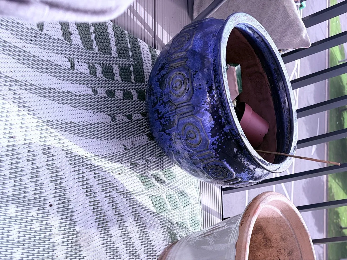 Ceramic strong ideal for lots of growt - Image 3