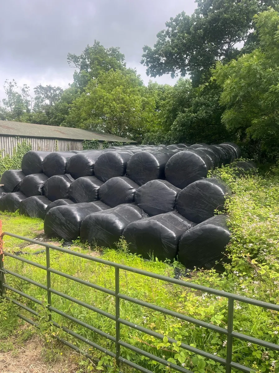 Silage bales - Image 1