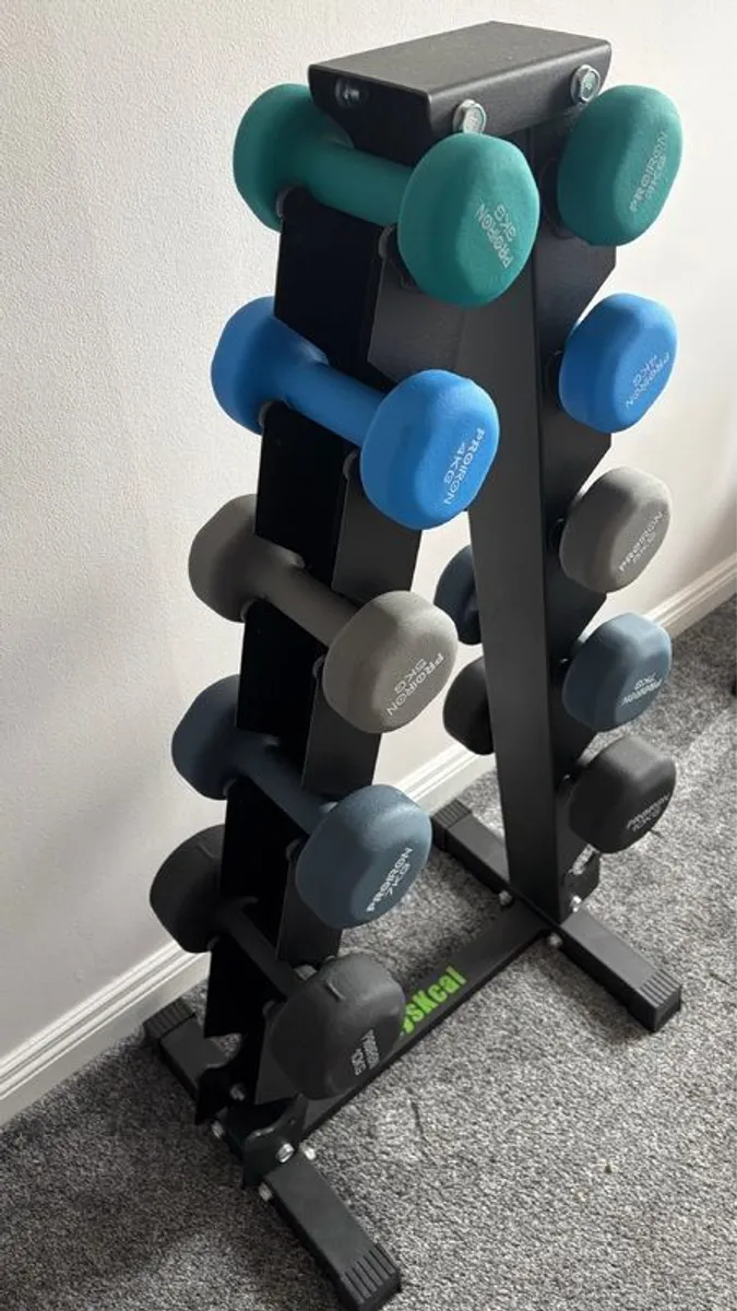 Dumbbell Set - Image 1