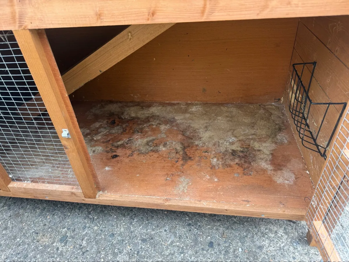 Rabbit Hutch - Image 4