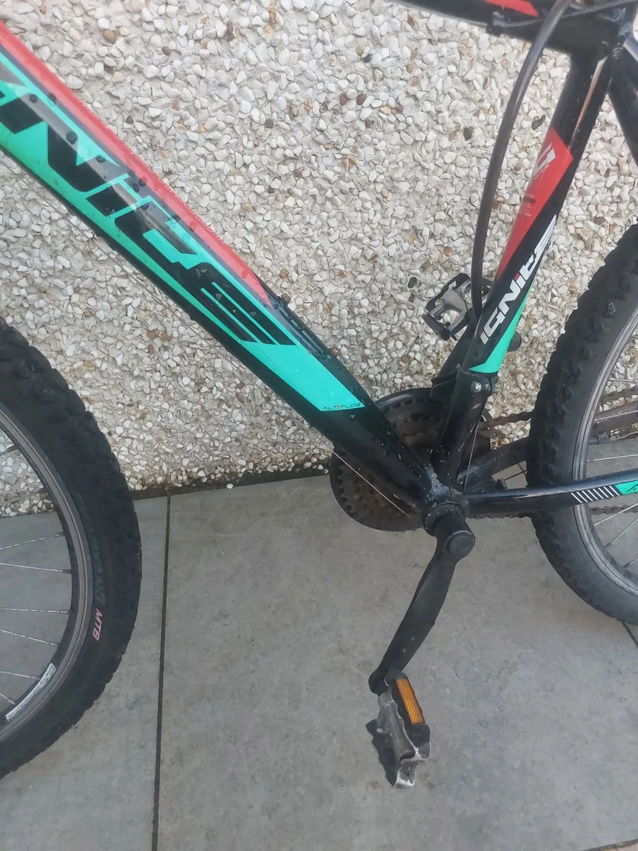 Bicycle - Image 4