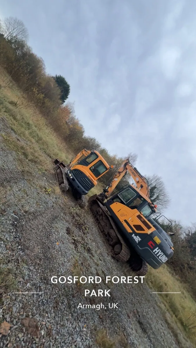 Hyundai digger hx140l - Image 2
