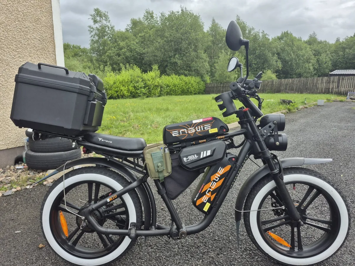 Electric bike - Image 1