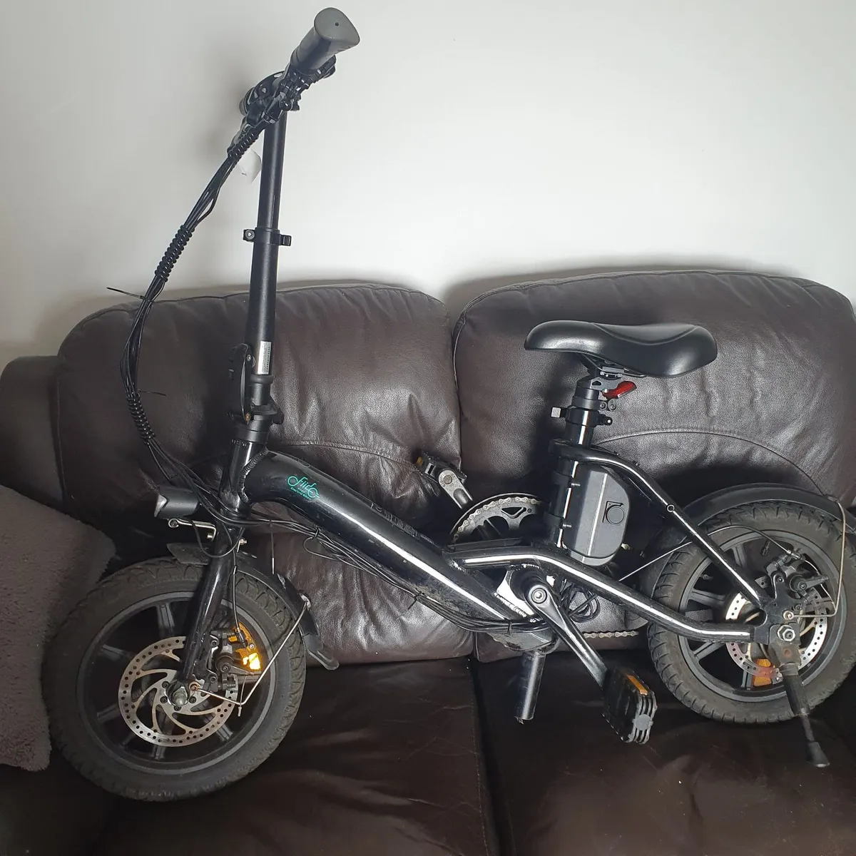 Fiido D3 pro electric bike