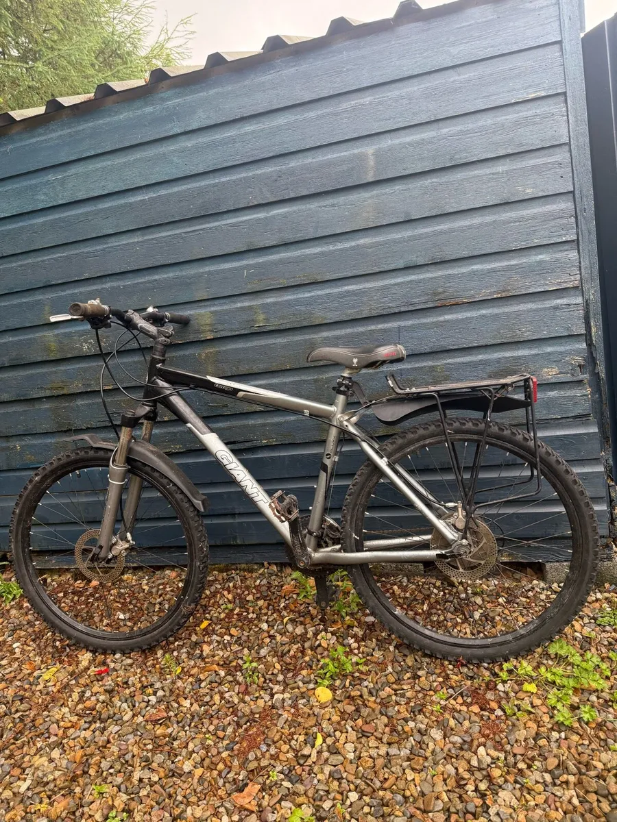 Bike Giant Terrago - Image 2