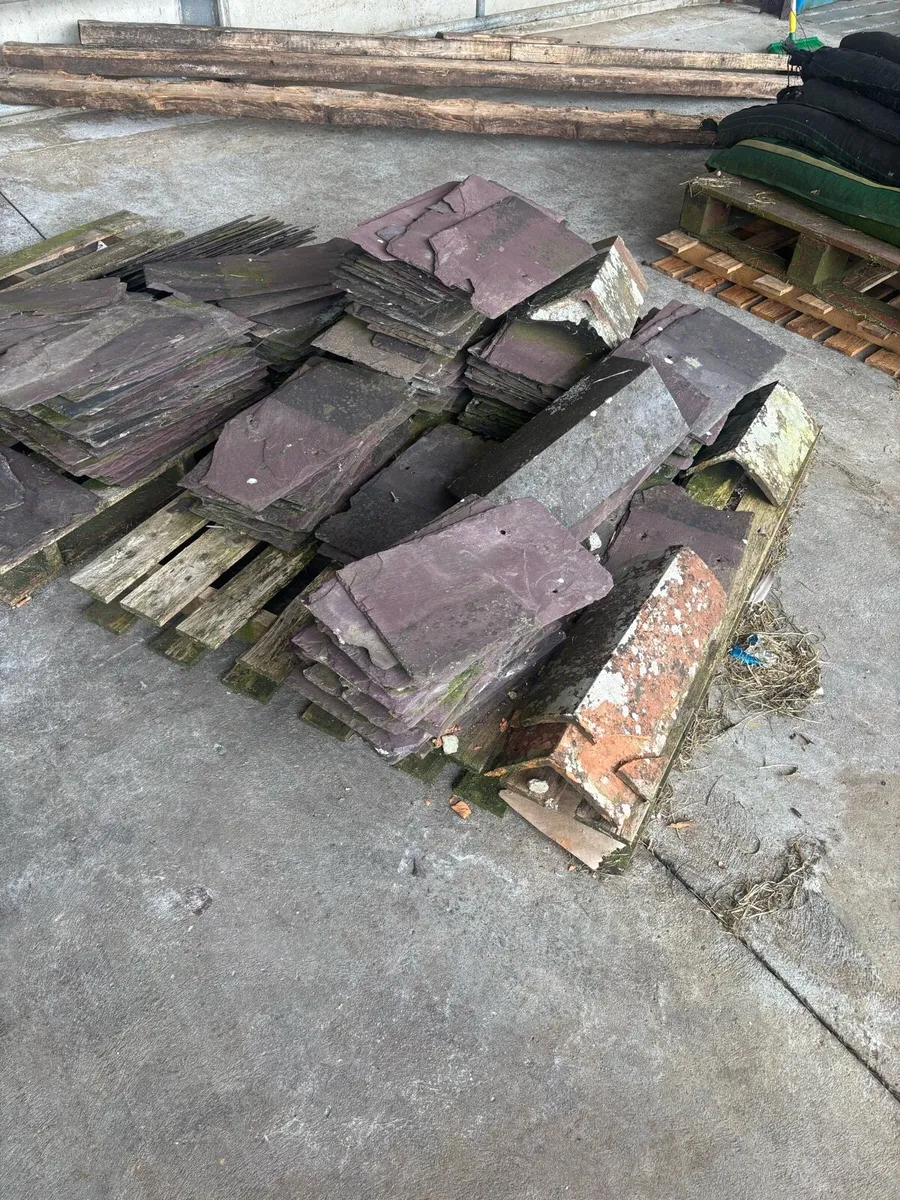 Slates  BANGER BLUES - Image 4
