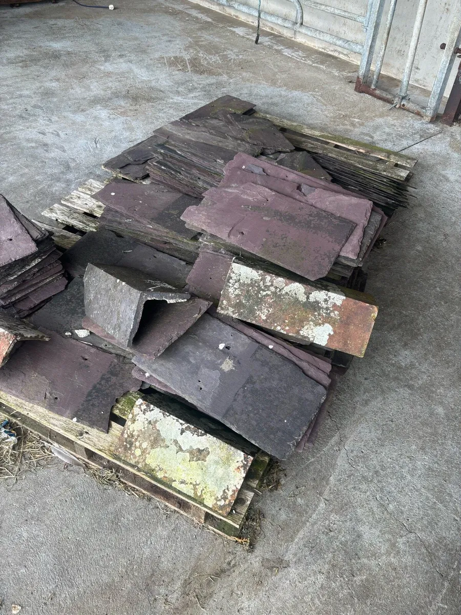Slates  BANGER BLUES - Image 1
