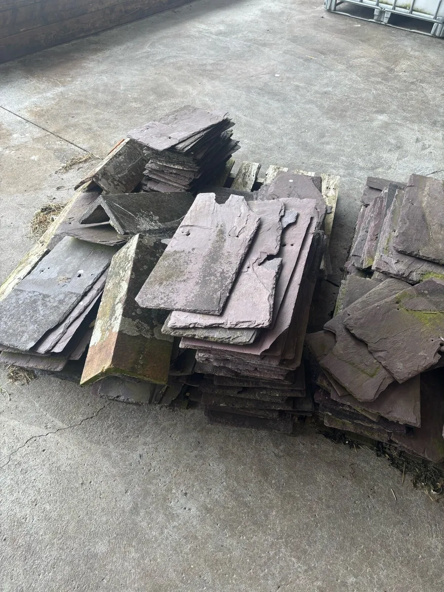Slates  BANGER BLUES - Image 2