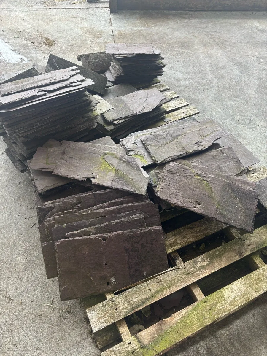 Slates  BANGER BLUES - Image 3