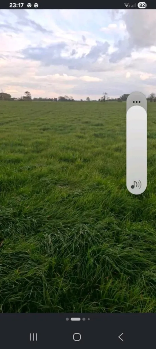 Silage  or Hay