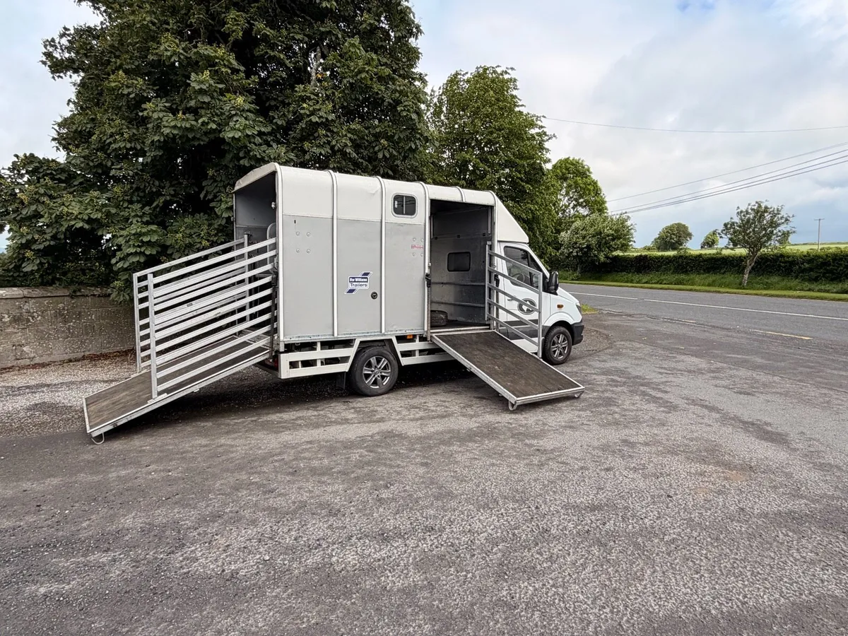 2 stall Mercedes sprinter horse box - Image 1