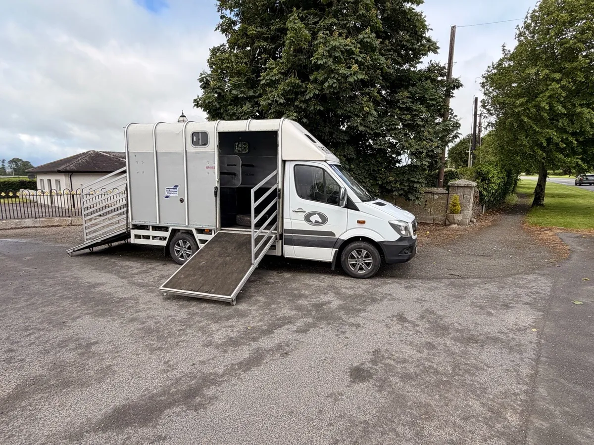 2 stall Mercedes sprinter horse box - Image 2