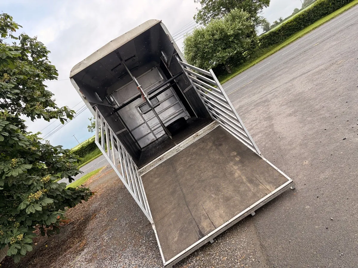 2 stall Mercedes sprinter horse box - Image 3