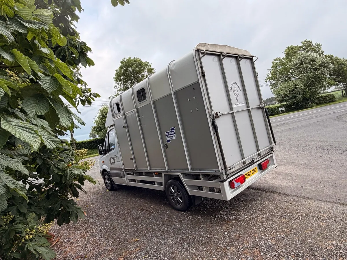 2 stall Mercedes sprinter horse box - Image 4