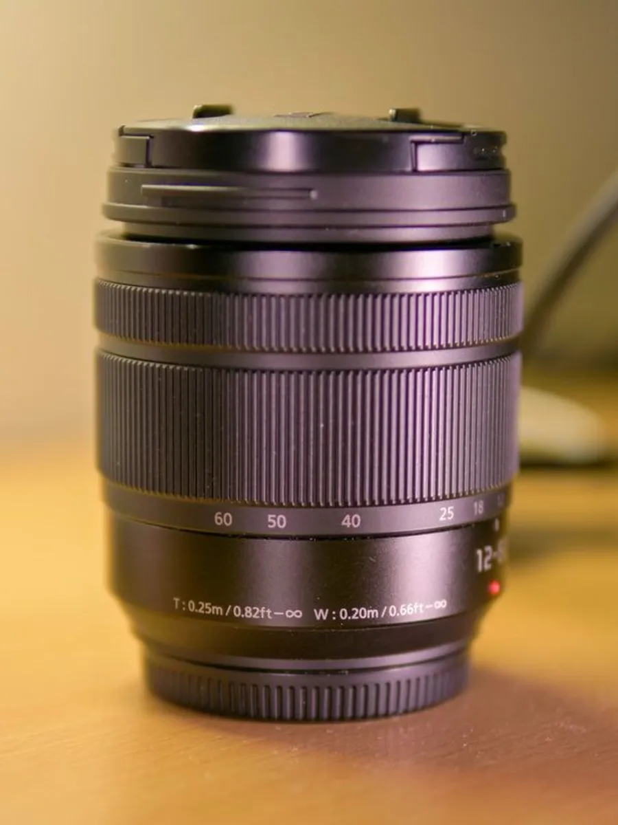 Panasonic Lumix G Vario 12-60mm f/3.5-5.6 ASPH Power O.I.S. MFT Lens - Image 2