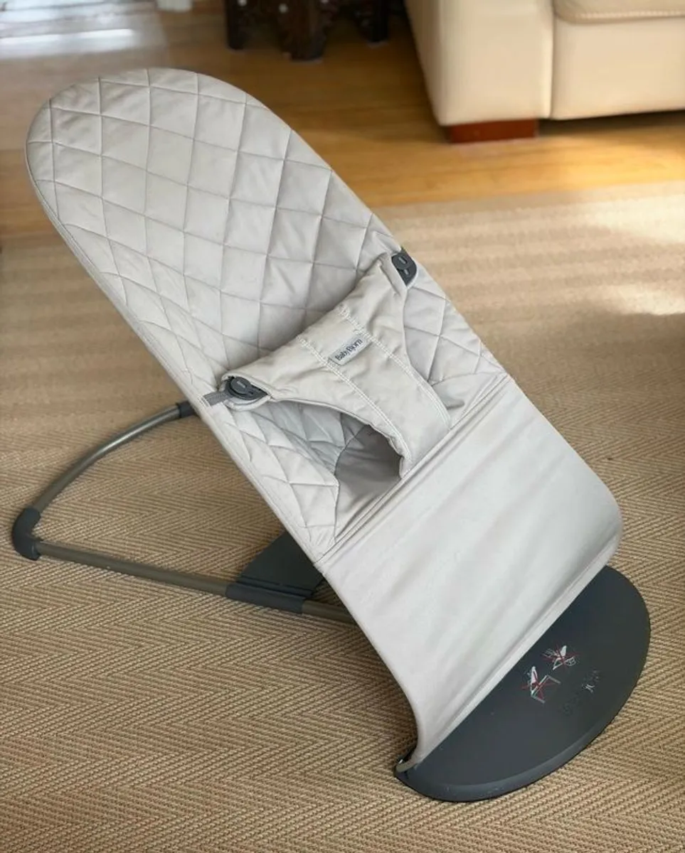 Baby Bjorn Bouncer - Image 1