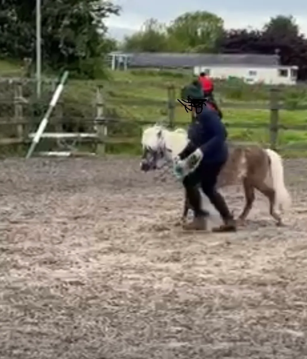 UNIQUE CHILD’S FIRST PONY 🥰 - Image 4
