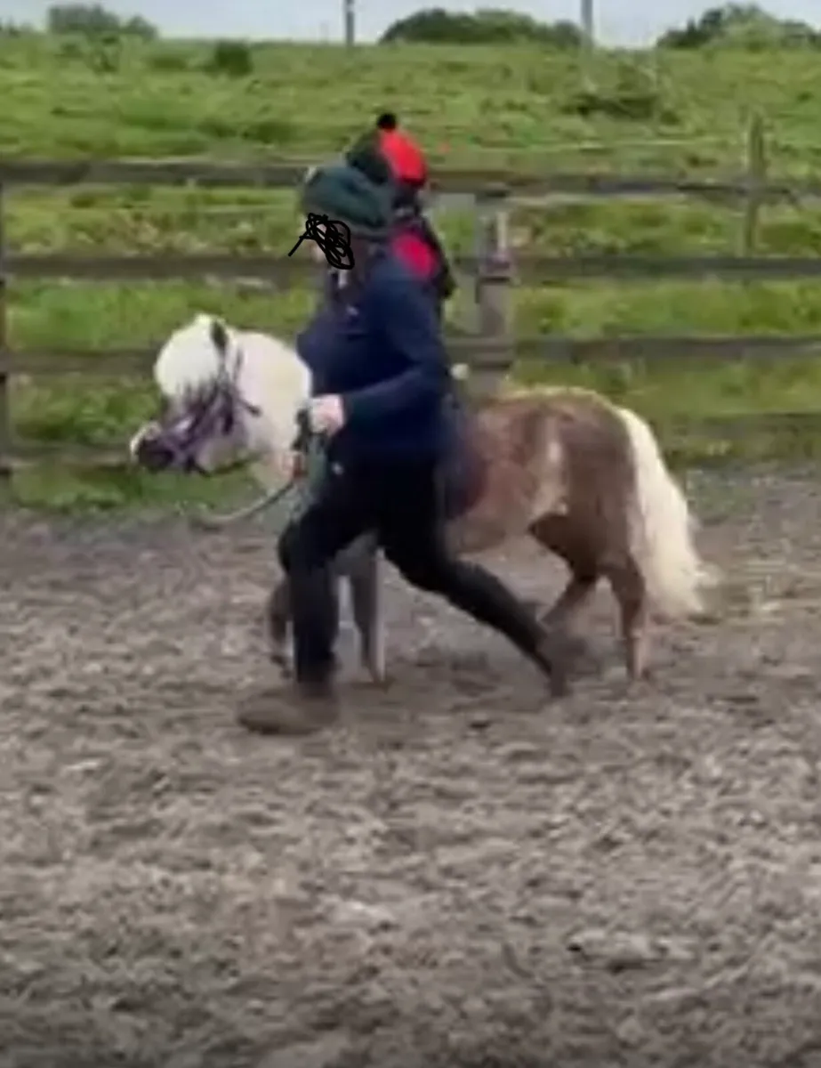 UNIQUE CHILD’S FIRST PONY 🥰 - Image 3