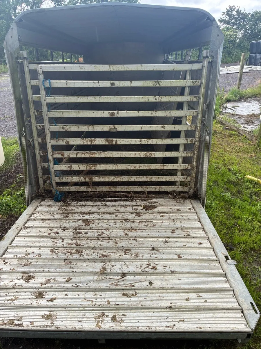 14ft Iforwilliams cattle body - Image 4