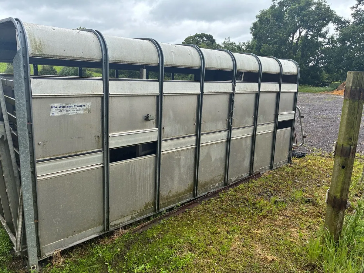 14ft Iforwilliams cattle body - Image 1