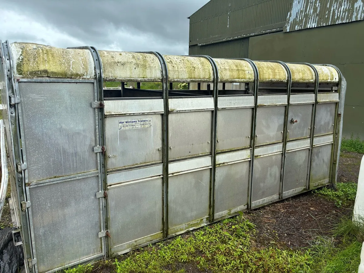 14ft Iforwilliams cattle body - Image 2