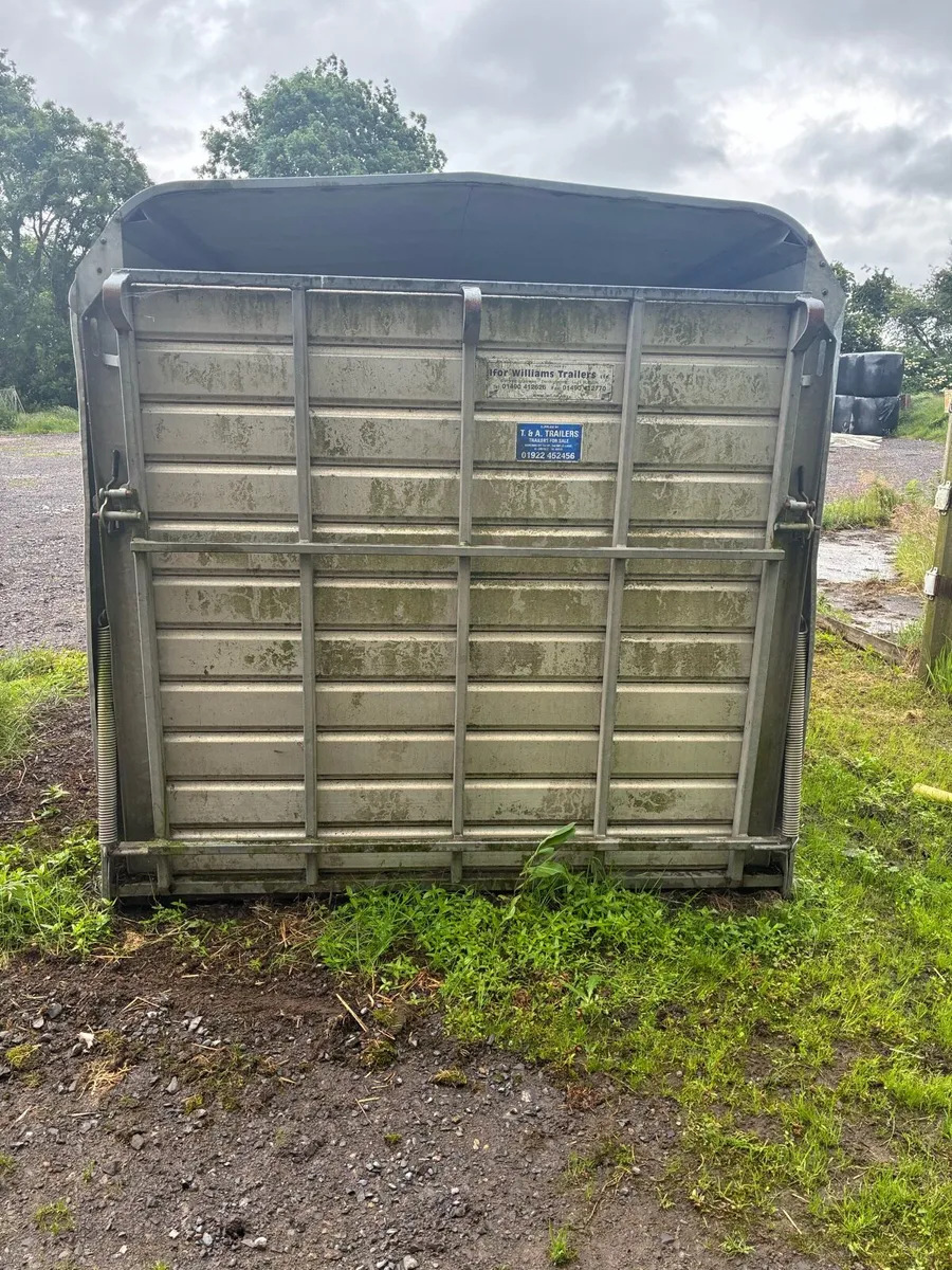 14ft Iforwilliams cattle body - Image 3