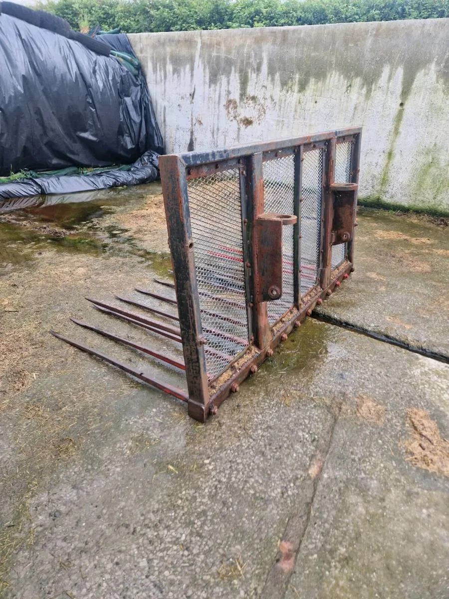 Buckrake - Image 2