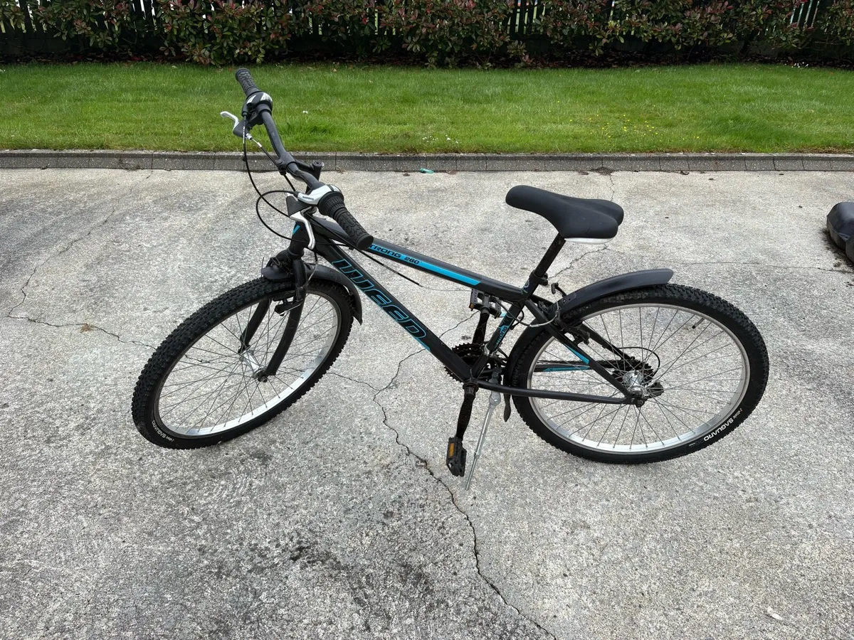 Bike - Image 2