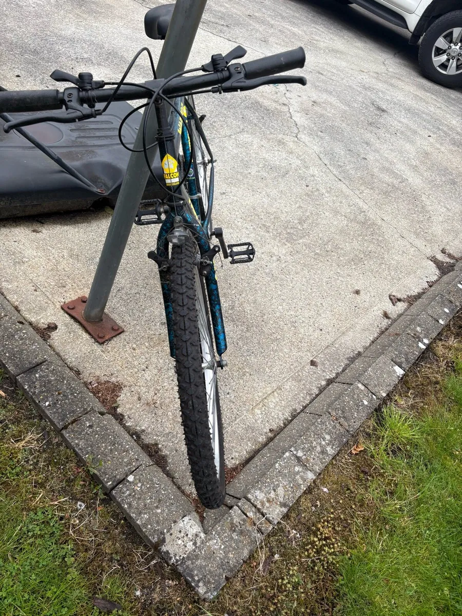 Falcon Warrior mountain bike - Image 2