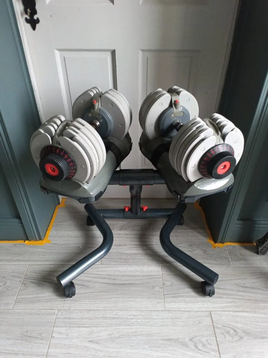 Adjustable Dumbbells - Image 1