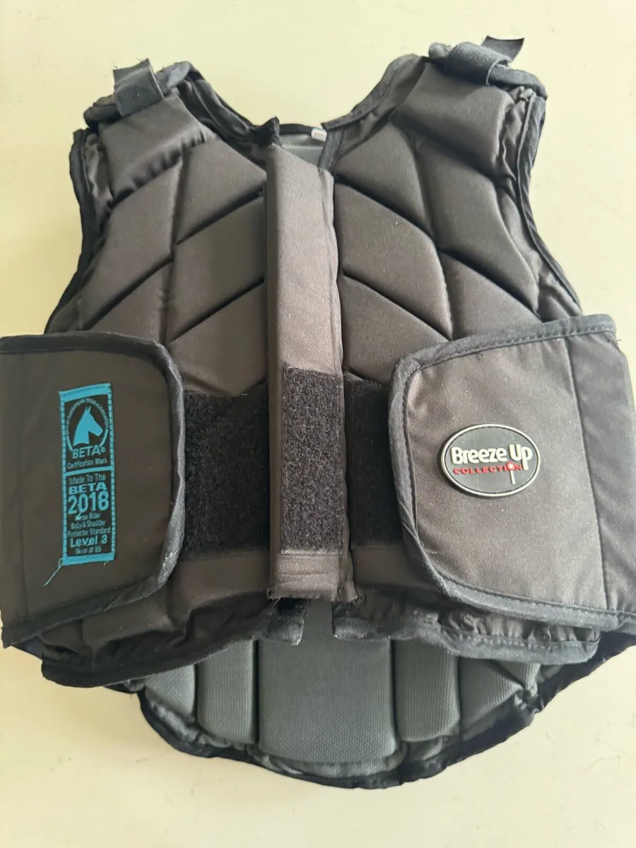 Horse riding back protector - Image 1
