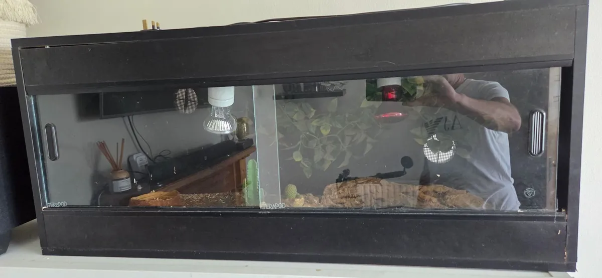 3 tortoises and 3 terrariums - Image 3