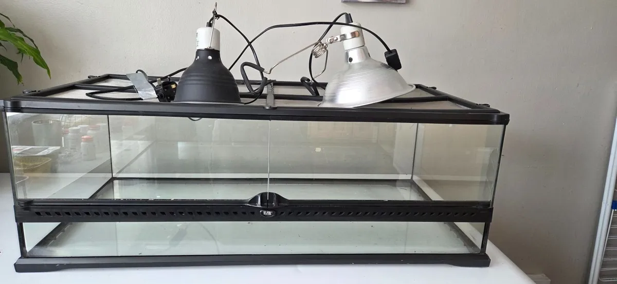 3 tortoises and 3 terrariums - Image 4