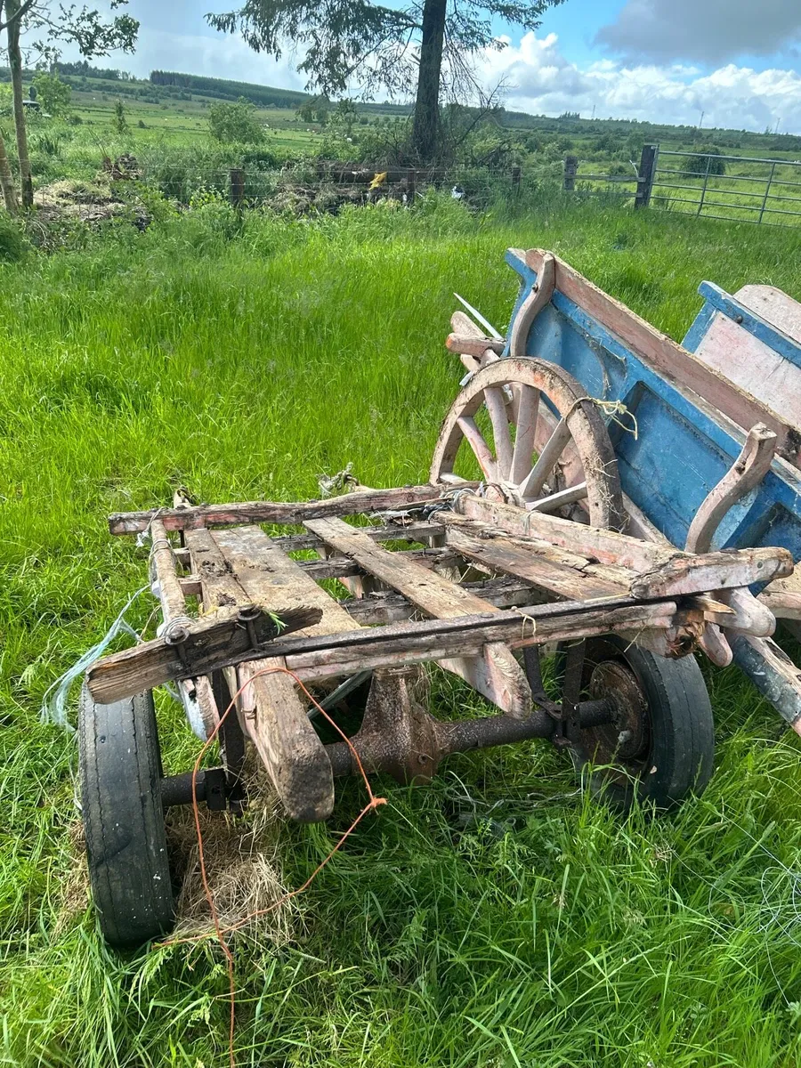 2 donkey carts - Image 2