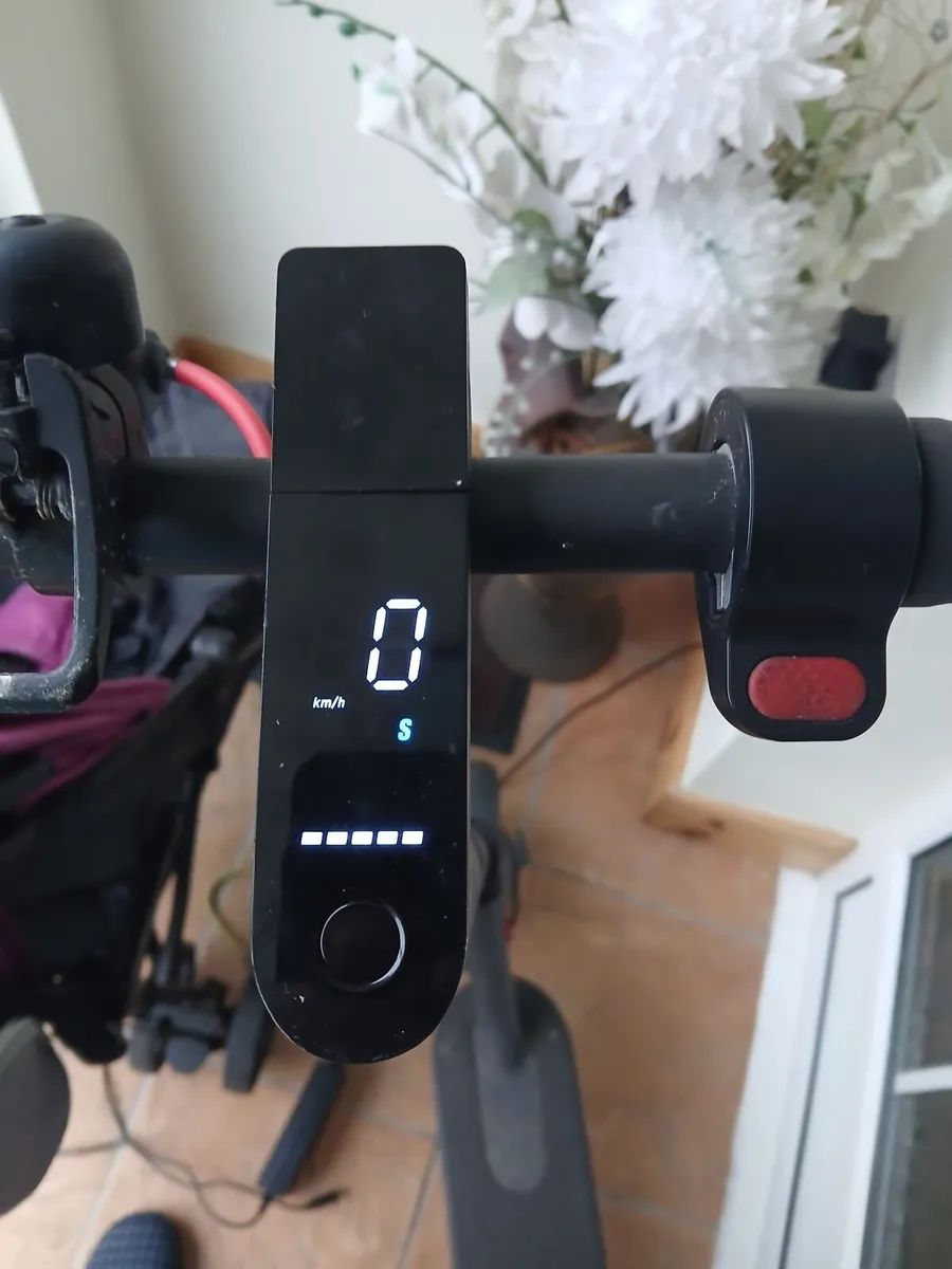 Segway scooter