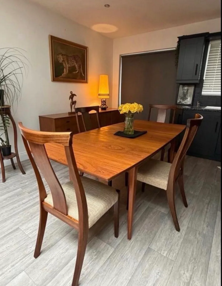 Mid Century Dining Chairs - Image 1