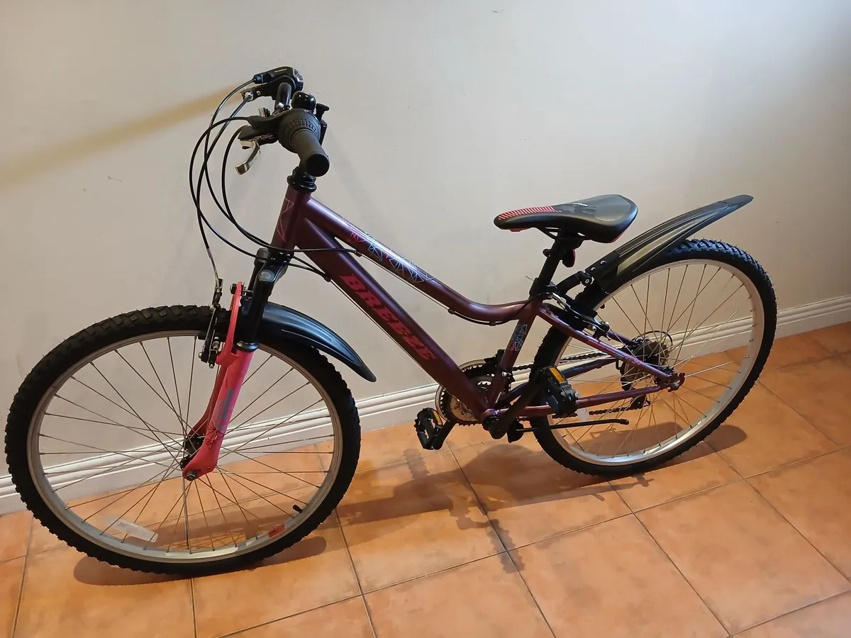 Bicycle - Image 1