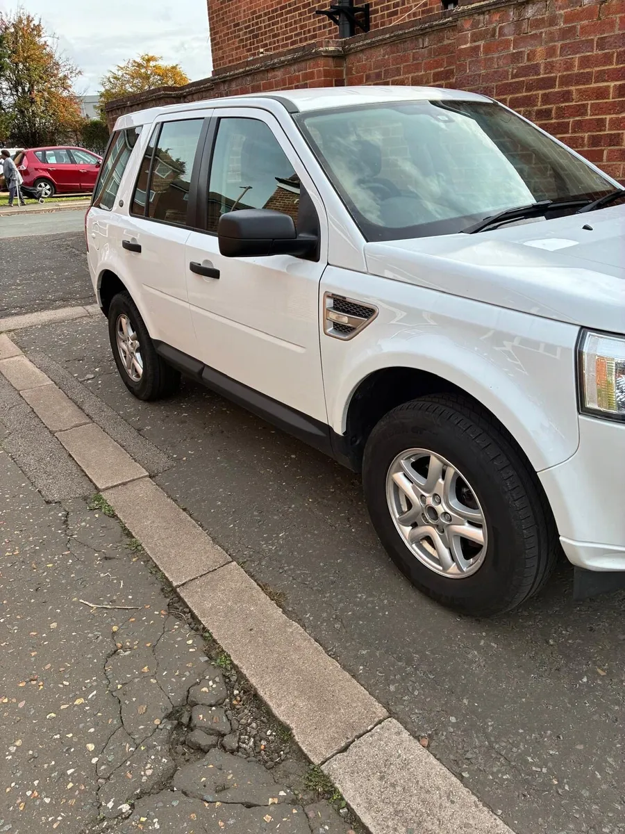 Freelander - Image 4