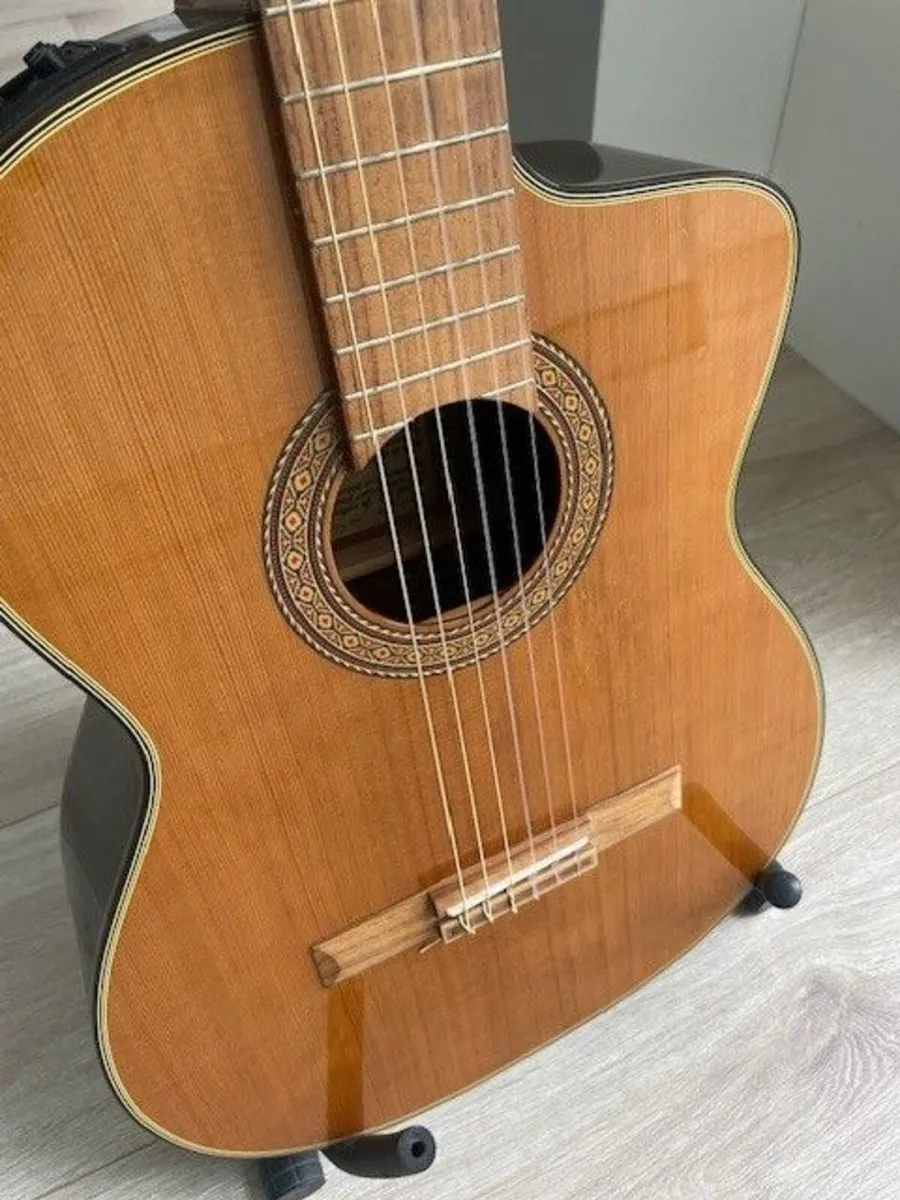 Takamine EC132SC  Actoustic w/ Hard Case - Image 2