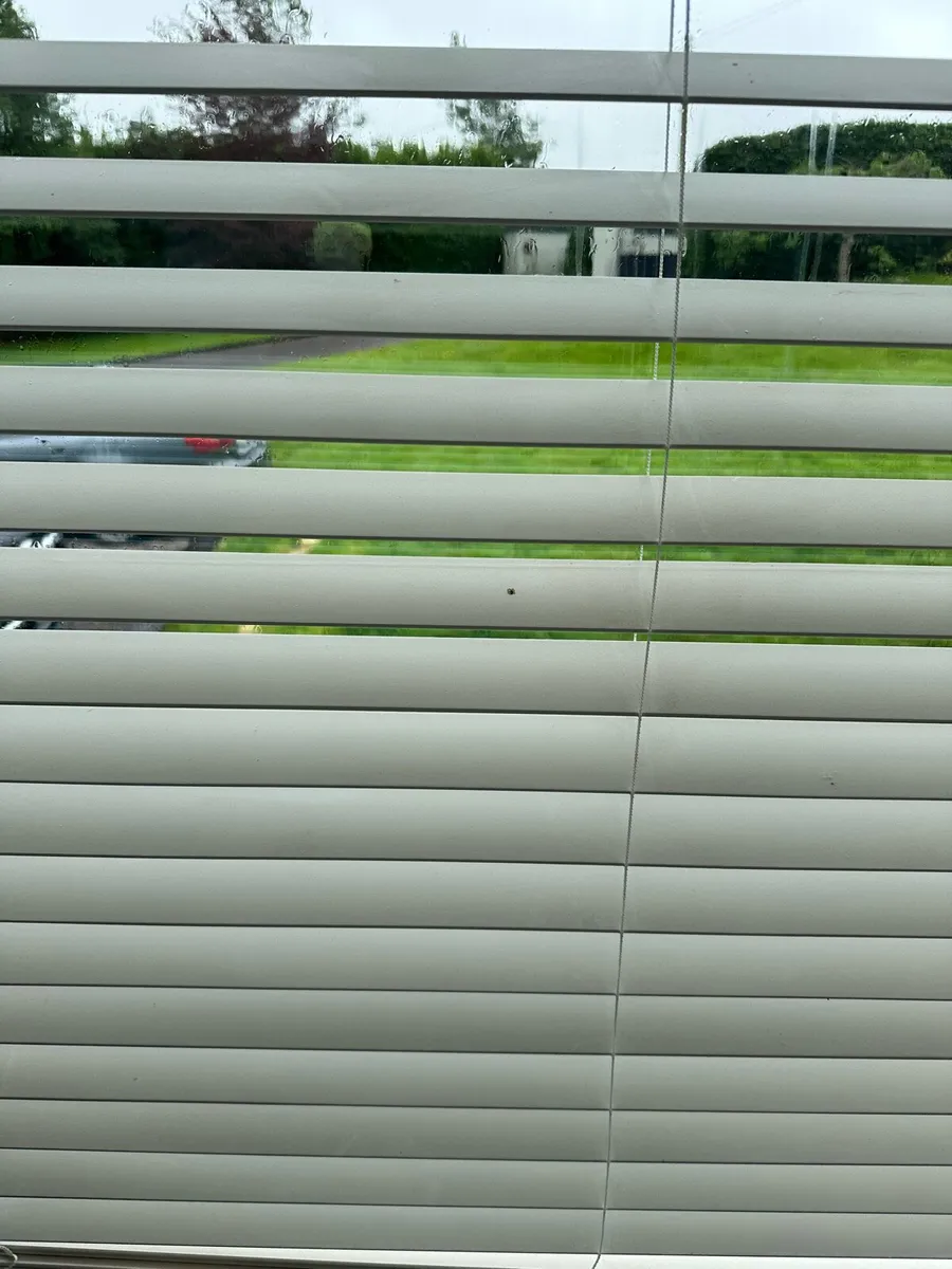 Window blinds - Image 4