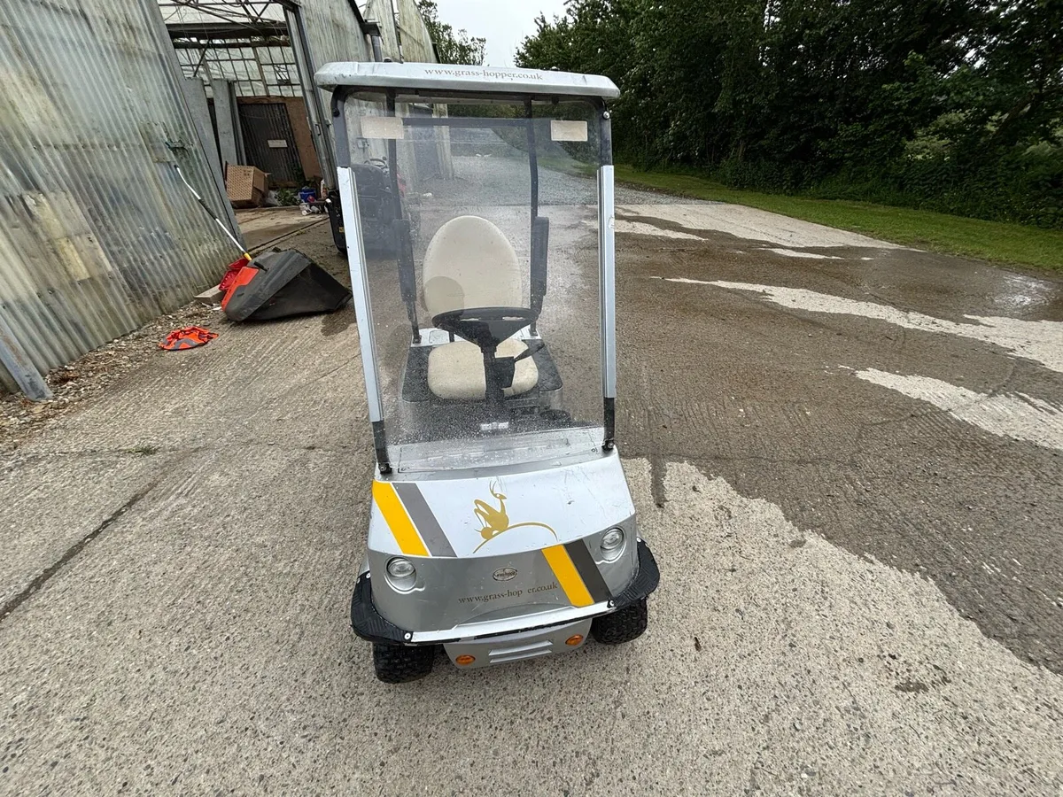 Single seater Golf buggy - Image 3