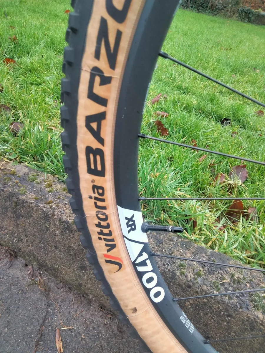 Canyon Exceed CF 6 XC Carbon Mountain Bike - Image 2