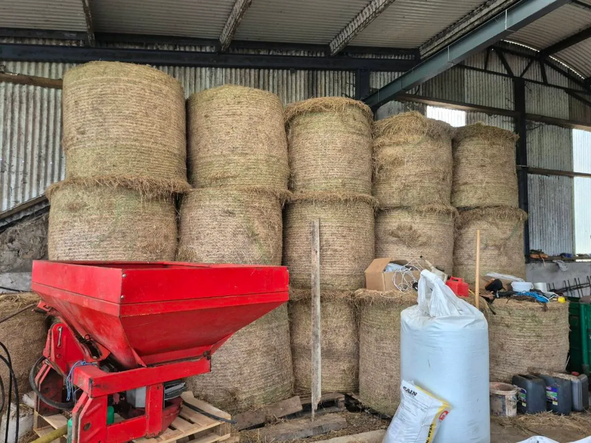 Hay