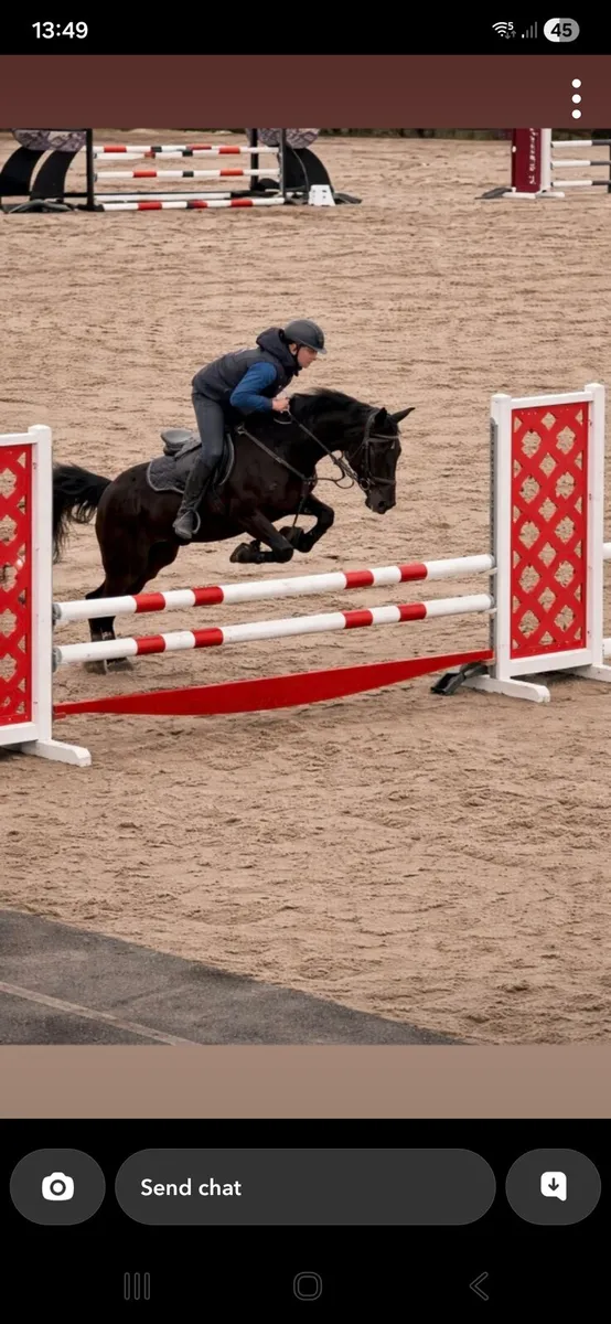 Competition pony - Image 2