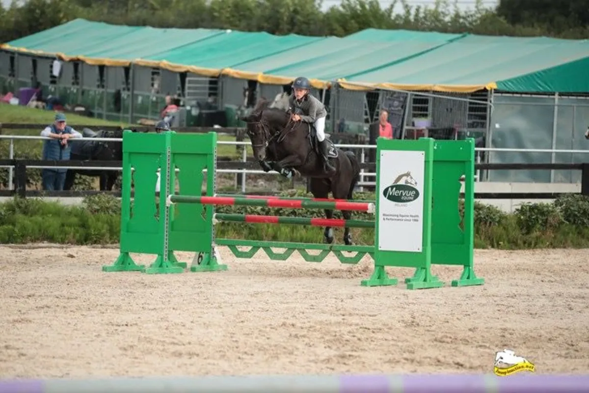 Competition pony - Image 1