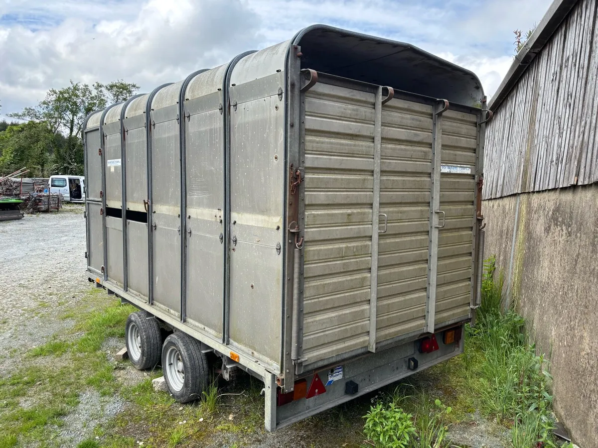 Ifor williams  12x6 - Image 2