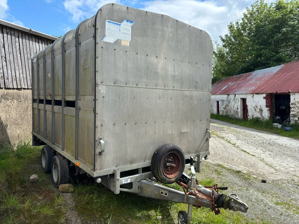 Ifor williams  12x6 - Image 3